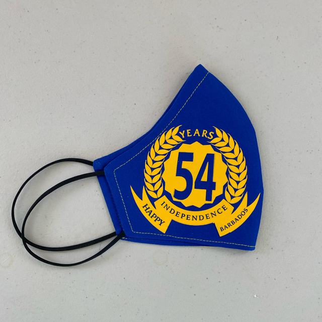 Blue printed face mask
